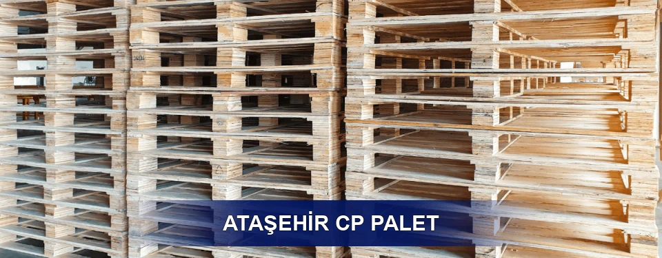 Ataşehir Standart Tipler