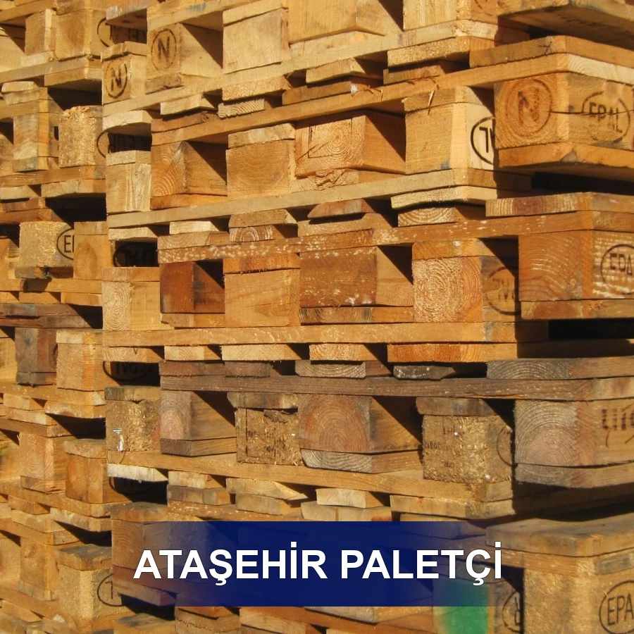 Ataşehir Paletçi