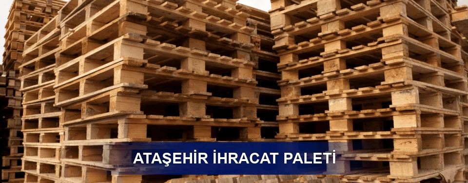 Ataşehir ISPM 15 Seçimi